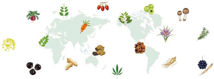 画像：世界地図を背景に、原材料のイラストがある様子